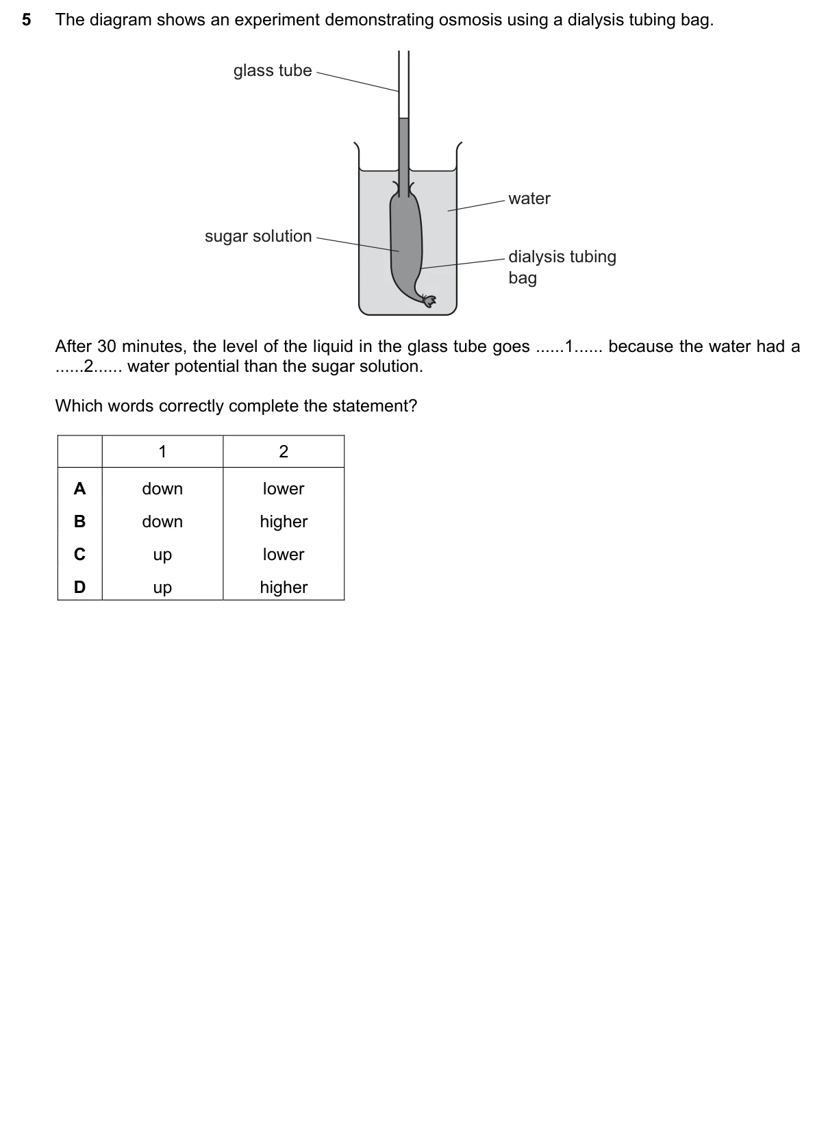 Question 5, June 2023, 0610 Paper 21