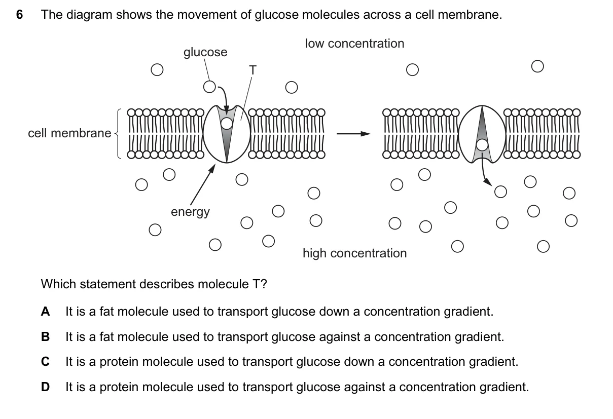 Question 6, June 2023, 0610 Paper 21