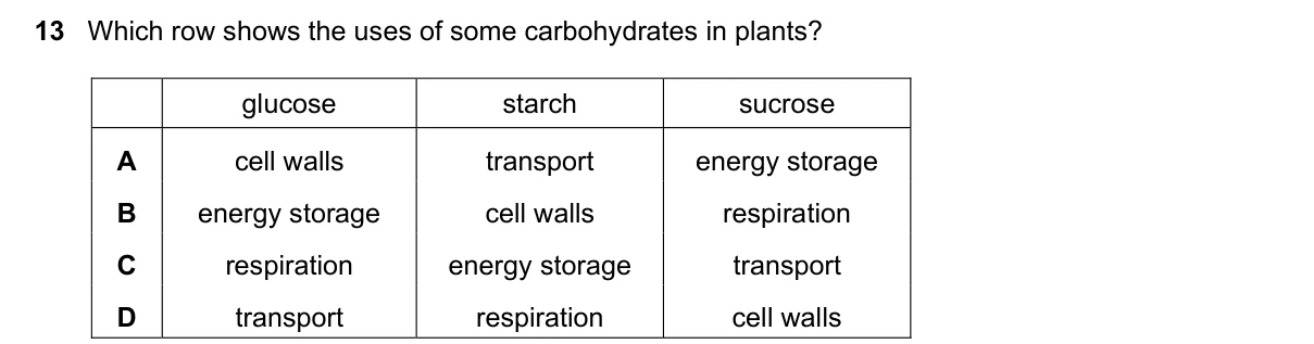 Question 13, June 2023, 0610 Paper 12