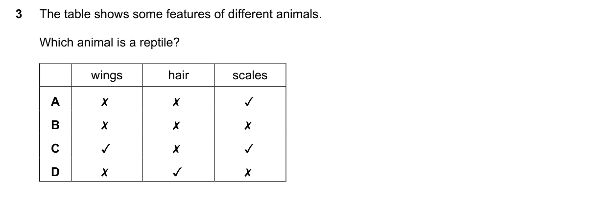 Question 3, June 2023, 0610 Paper 12