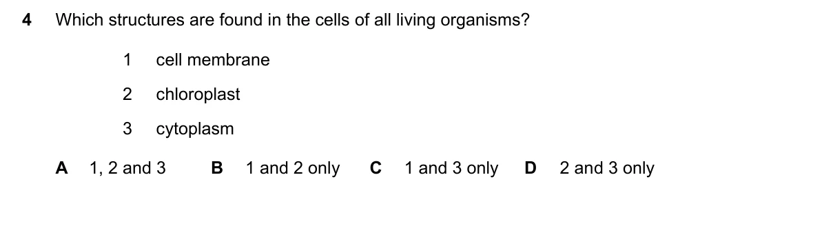 Question 4, June 2023, 0610 Paper 12