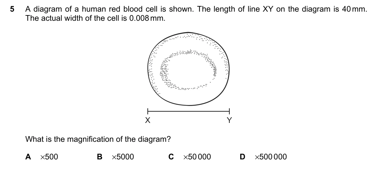 Question 5, June 2023, 0610 Paper 12