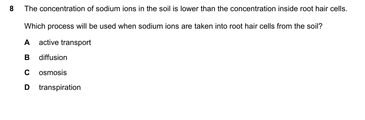 Question 8, June 2023, 0610 Paper 12