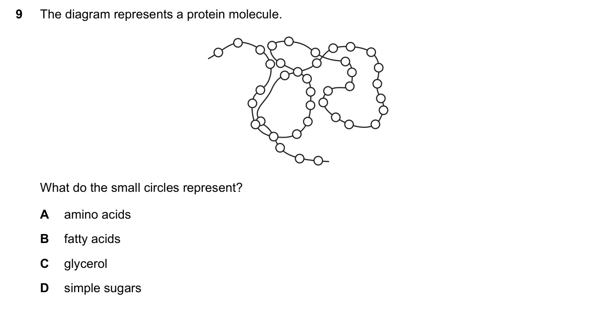 Question 9, June 2023, 0610 Paper 12