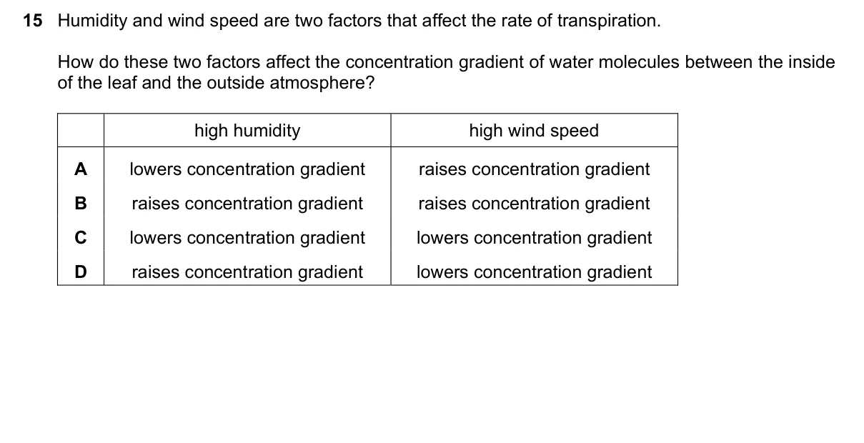 Question 15, June 2023, 0610 Paper 22