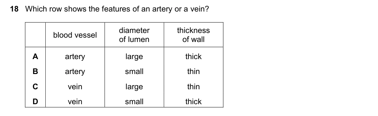 Question 18, June 2023, 0610 Paper 22
