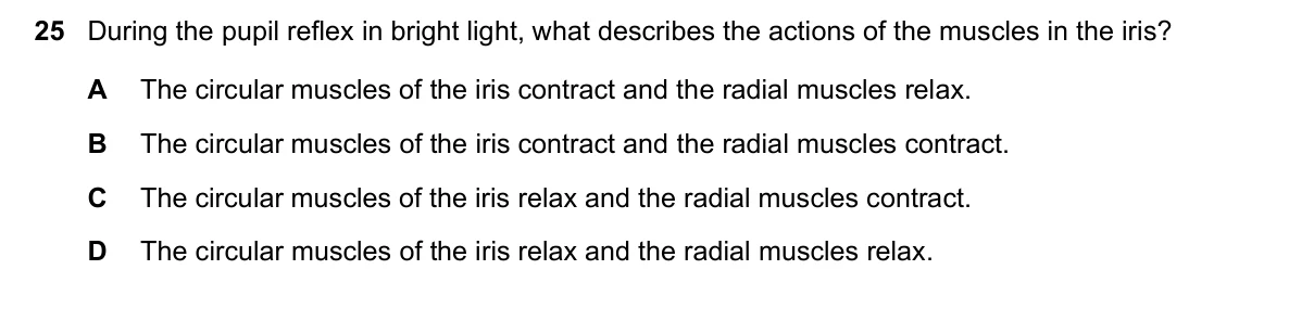 Question 25, June 2023, 0610 Paper 22