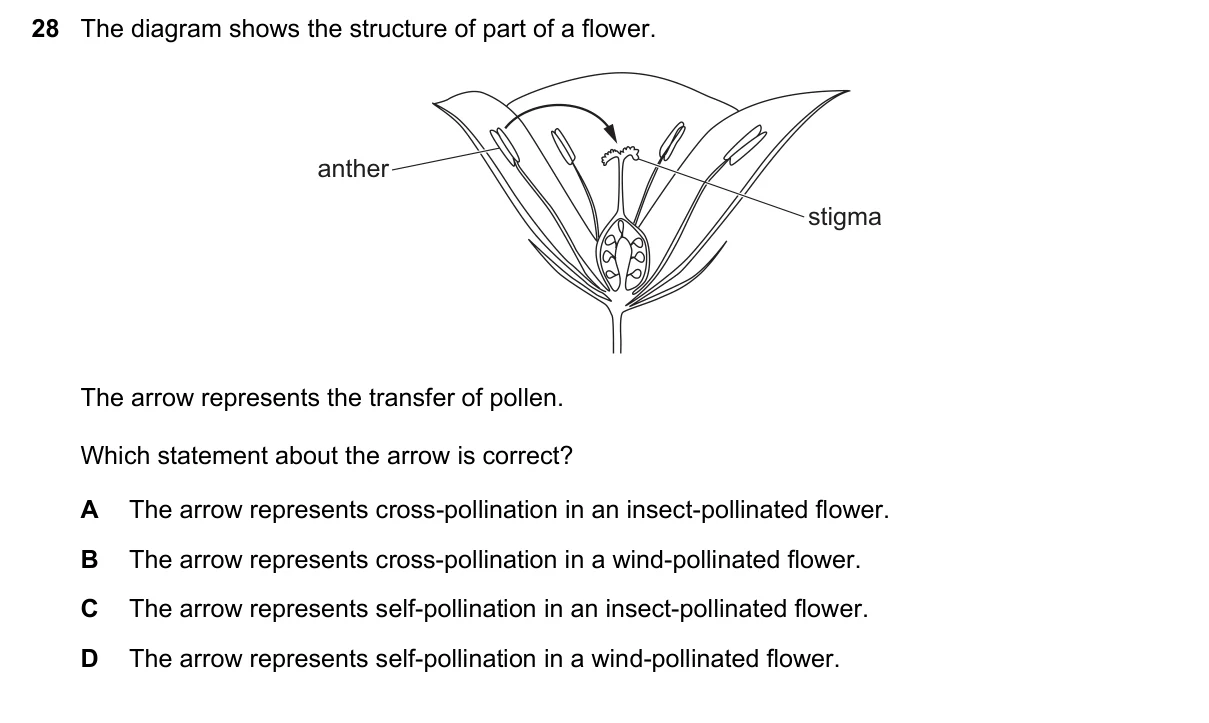 Question 28, June 2023, 0610 Paper 22