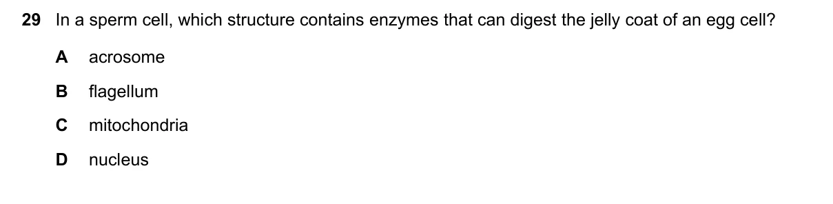 Question 29, June 2023, 0610 Paper 22