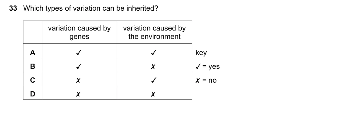 Question 33, June 2023, 0610 Paper 22