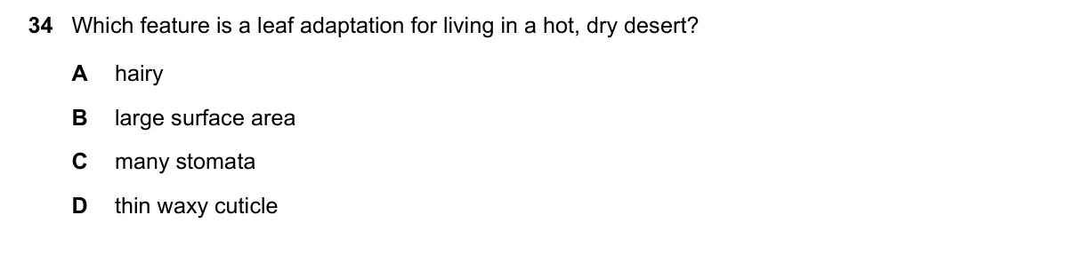 Question 34, June 2023, 0610 Paper 22