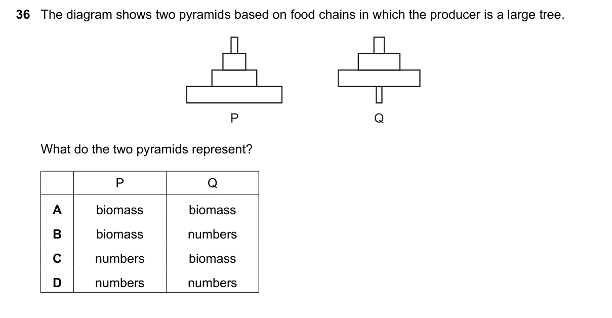 Question 36, June 2023, 0610 Paper 22