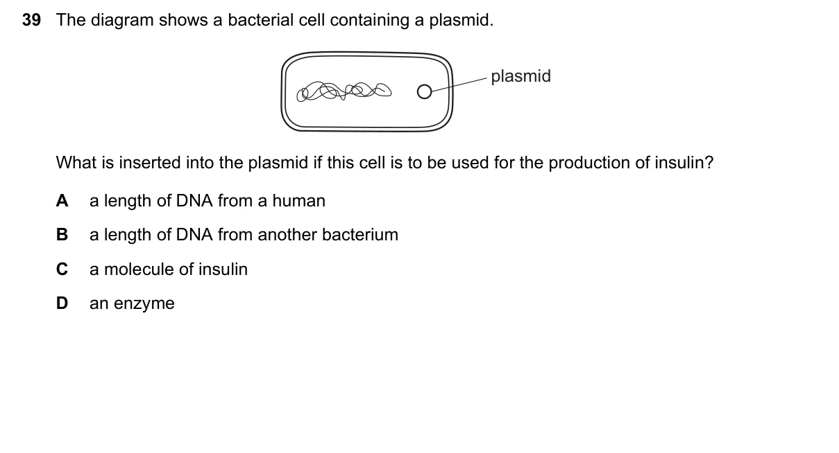 Question 39, June 2023, 0610 Paper 22