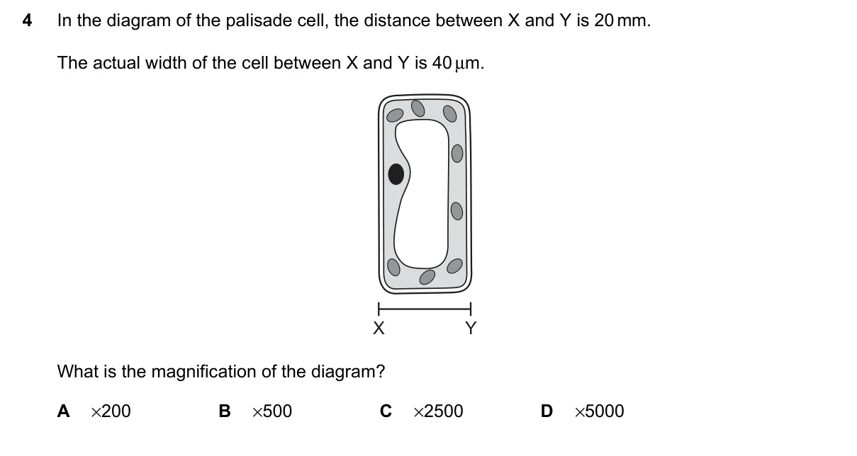 Question 4, June 2023, 0610 Paper 22