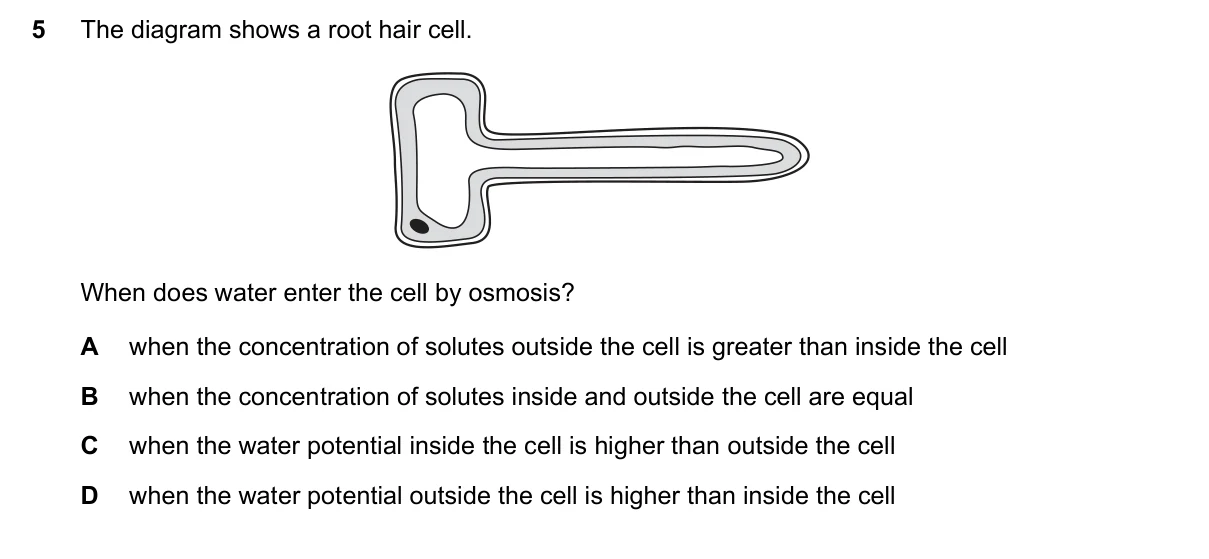 Question 5, June 2023, 0610 Paper 22