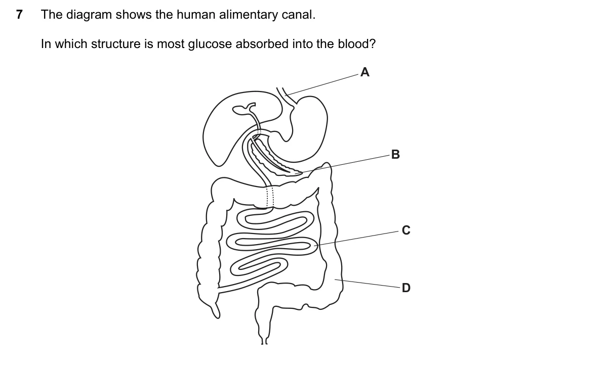 Question 7, June 2023, 0610 Paper 22