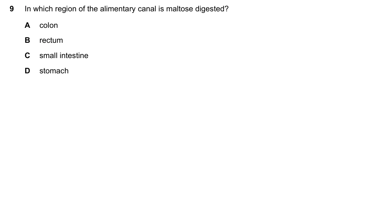 Question 9, June 2023, 0610 Paper 22