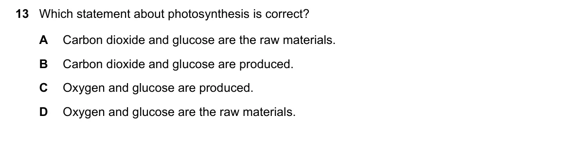 Question 13, June 2023, 0610 Paper 13