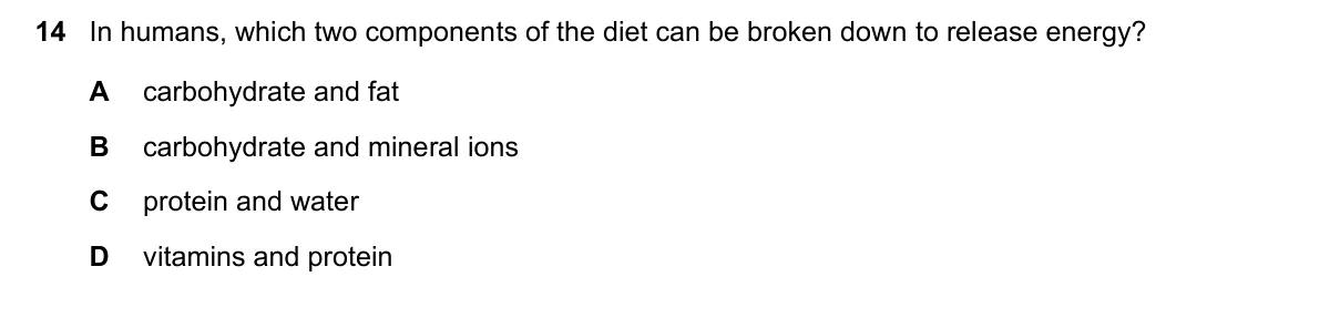 Question 14, June 2023, 0610 Paper 13