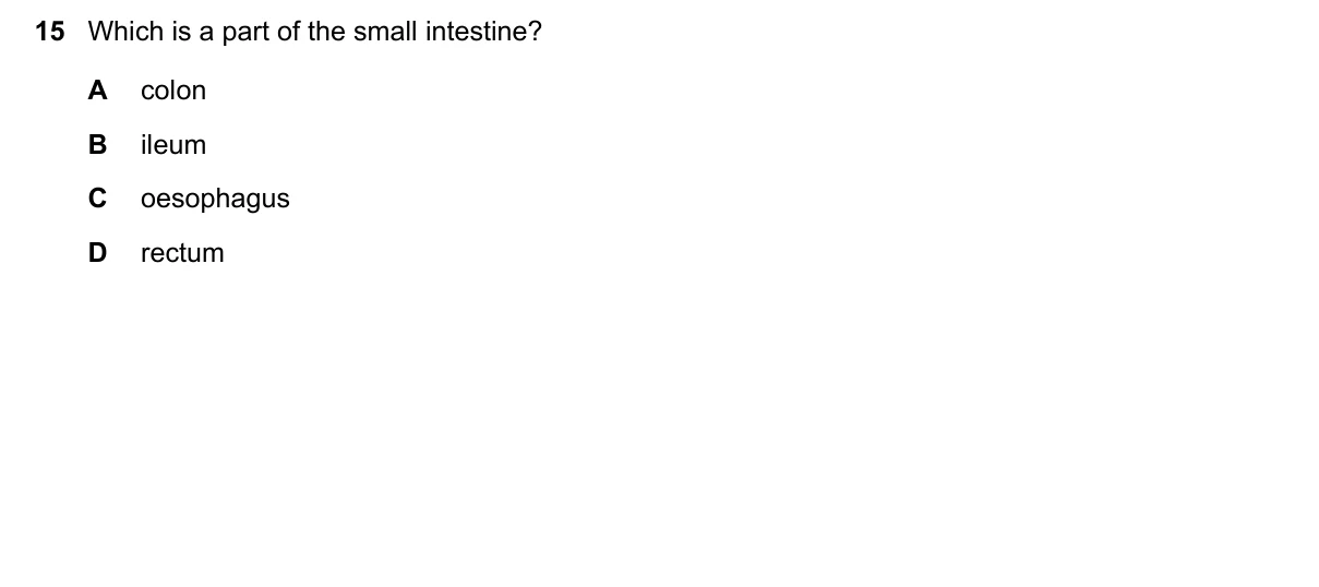 Question 15, June 2023, 0610 Paper 13