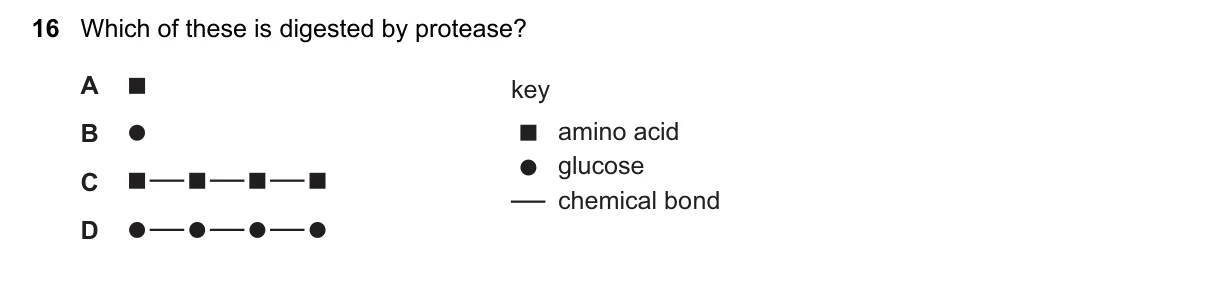 Question 16, June 2023, 0610 Paper 13