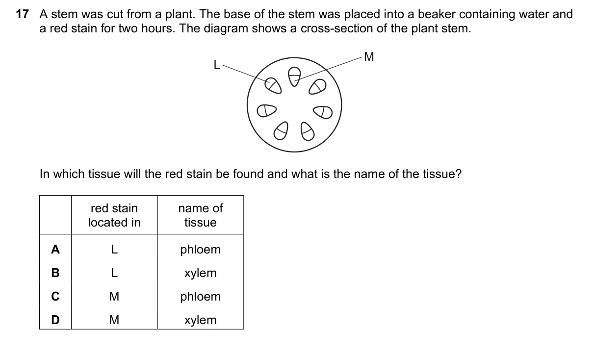 Question 17, June 2023, 0610 Paper 13