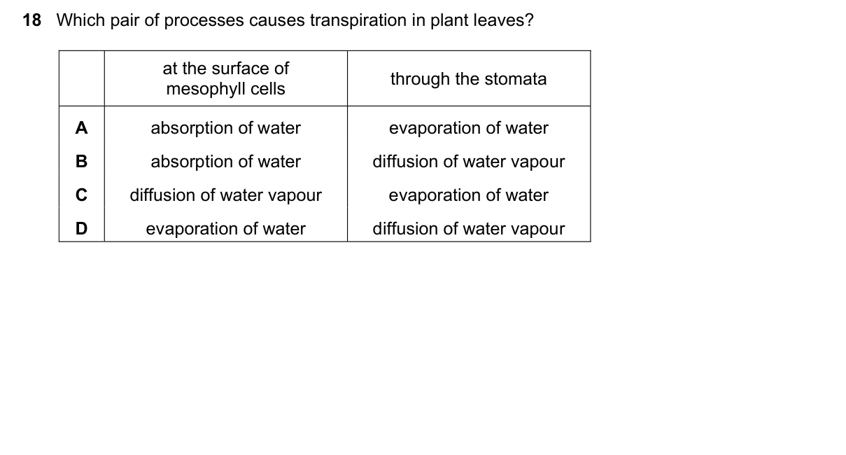 Question 18, June 2023, 0610 Paper 13