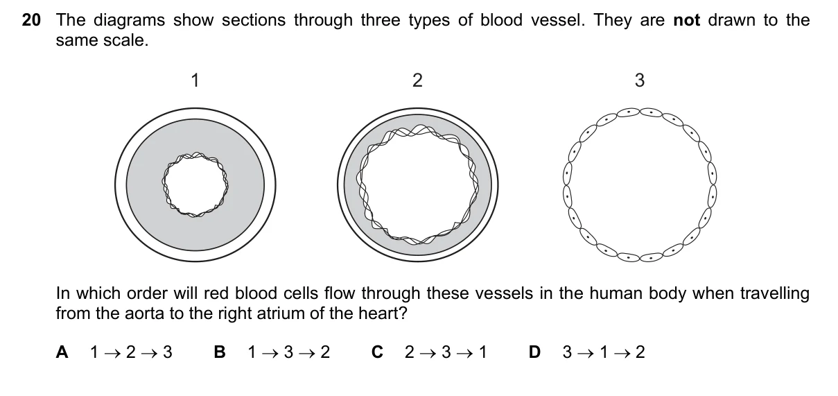 Question 20, June 2023, 0610 Paper 13