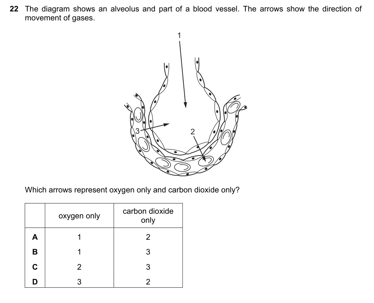 Question 22, June 2023, 0610 Paper 13