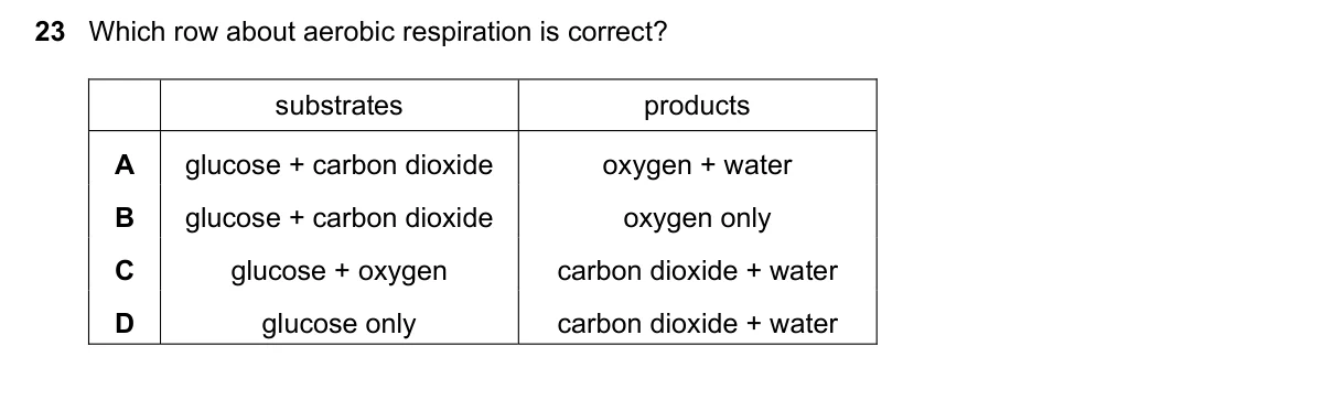 Question 23, June 2023, 0610 Paper 13