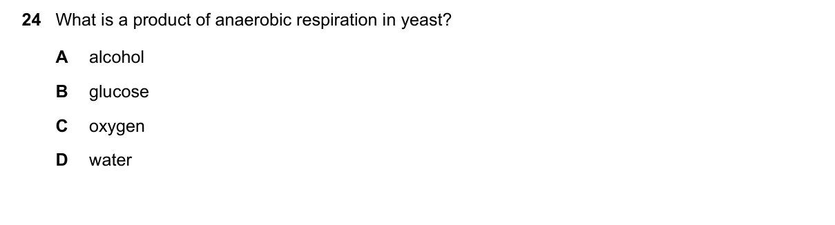Question 24, June 2023, 0610 Paper 13