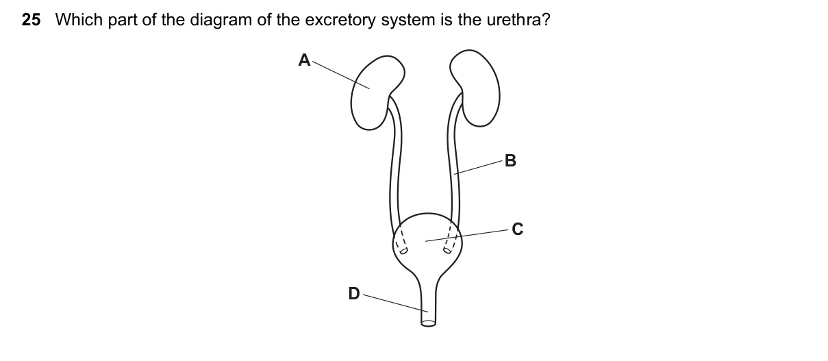 Question 25, June 2023, 0610 Paper 13