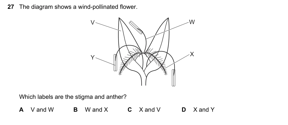 Question 27, June 2023, 0610 Paper 13