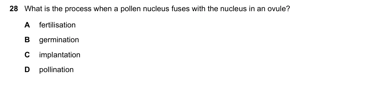 Question 28, June 2023, 0610 Paper 13