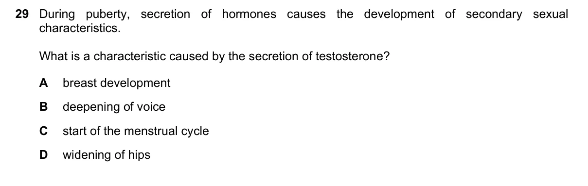Question 29, June 2023, 0610 Paper 13