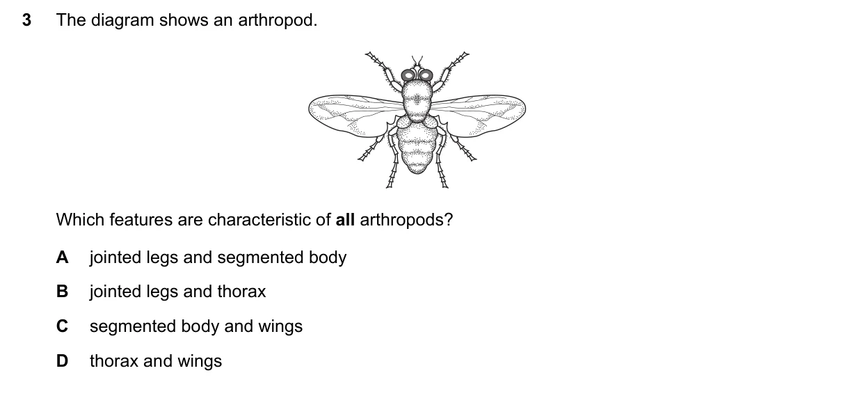 Question 3, June 2023, 0610 Paper 13