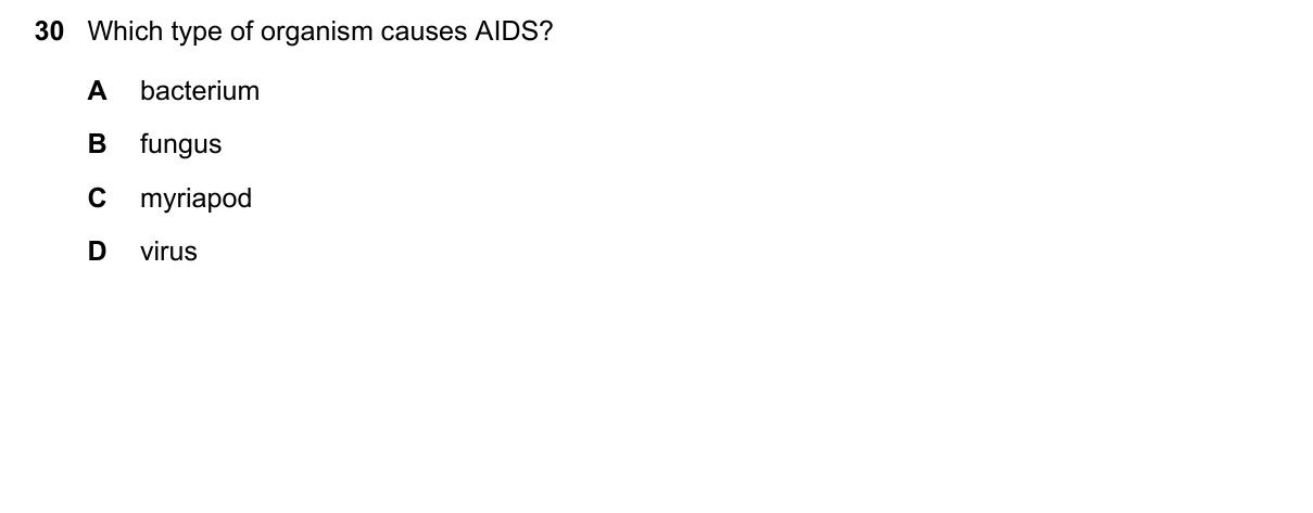 Question 30, June 2023, 0610 Paper 13