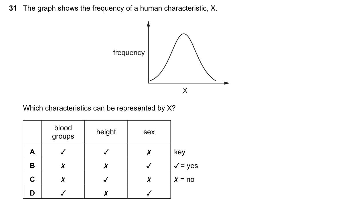 Question 31, June 2023, 0610 Paper 13