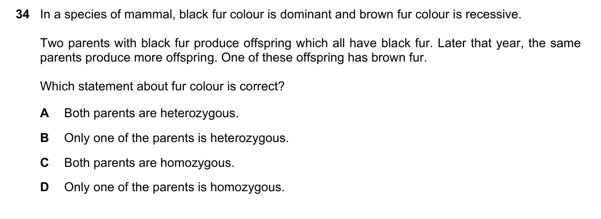 Question 34, June 2023, 0610 Paper 13