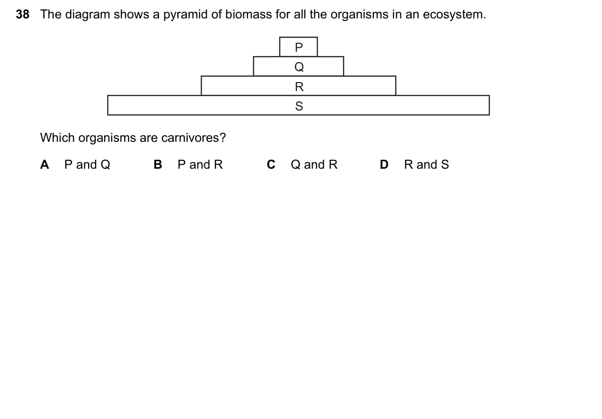 Question 38, June 2023, 0610 Paper 13