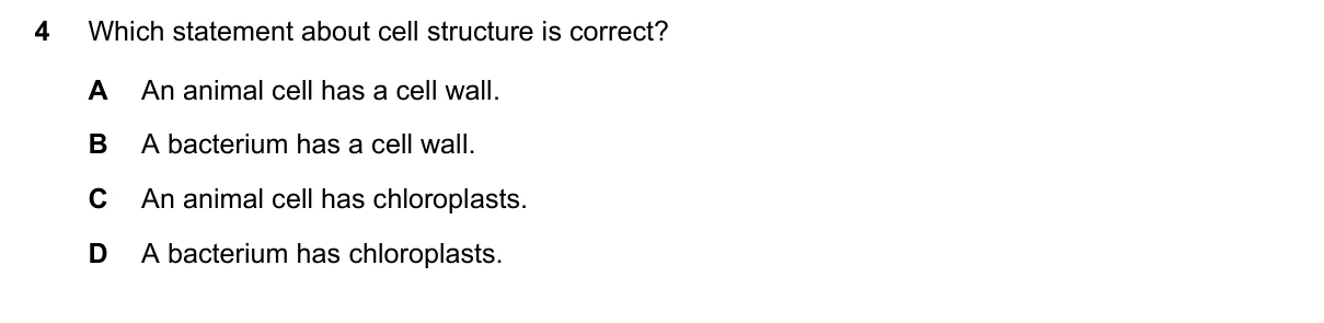 Question 4, June 2023, 0610 Paper 13