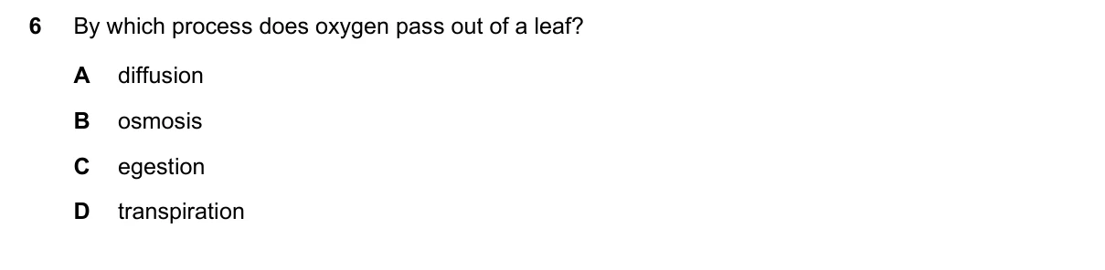 Question 6, June 2023, 0610 Paper 13
