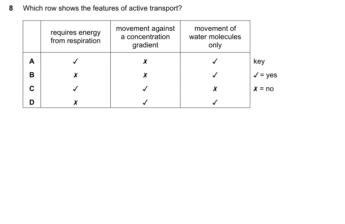 Question 8, June 2023, 0610 Paper 13