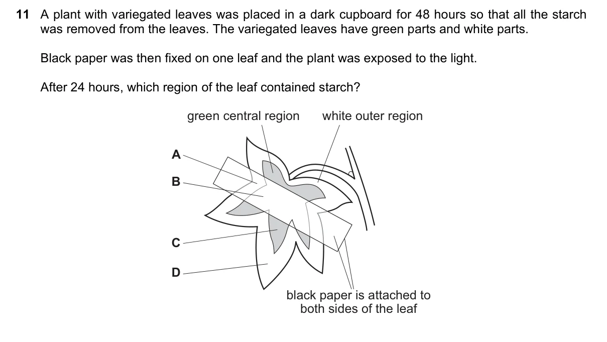 Question 11, June 2023, 0610 Paper 23