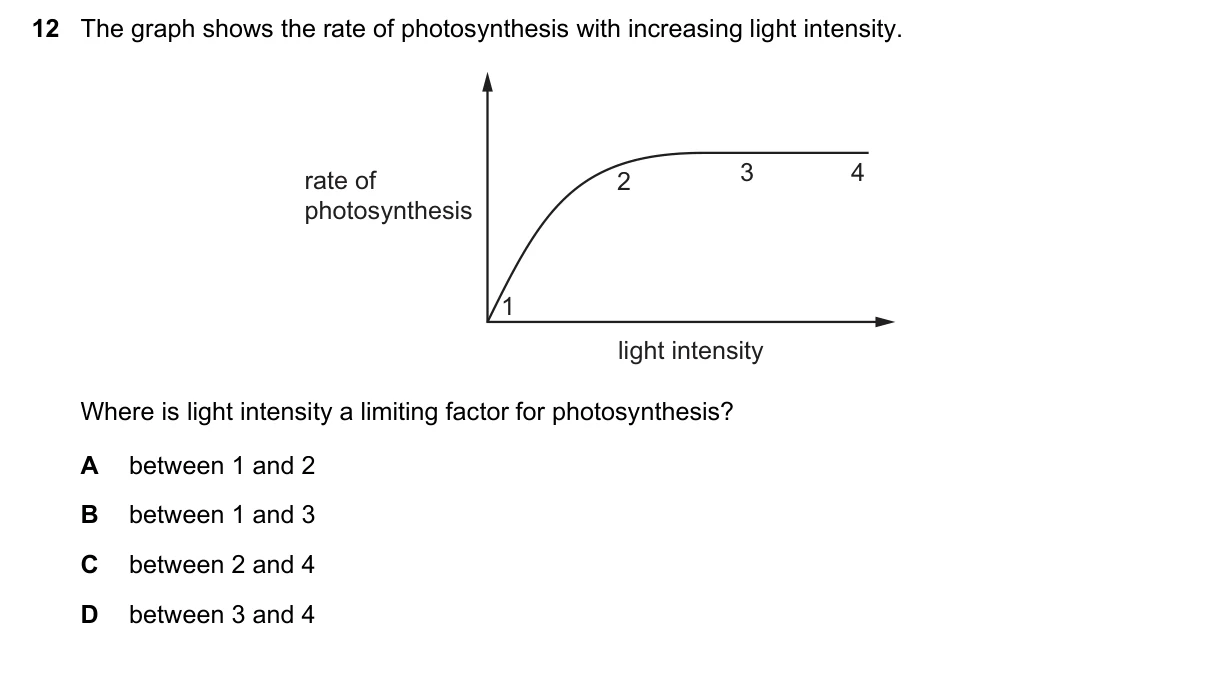 Question 12, June 2023, 0610 Paper 23