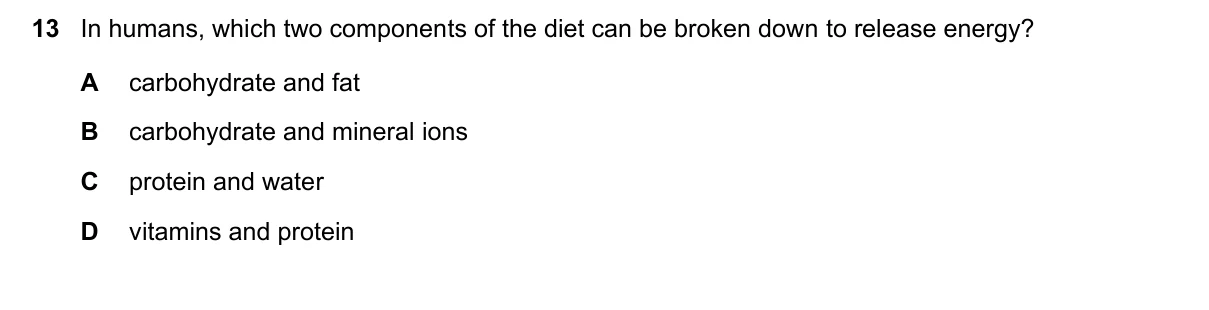 Question 13, June 2023, 0610 Paper 23