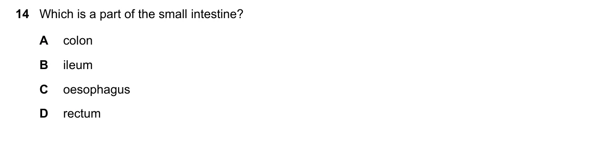 Question 14, June 2023, 0610 Paper 23