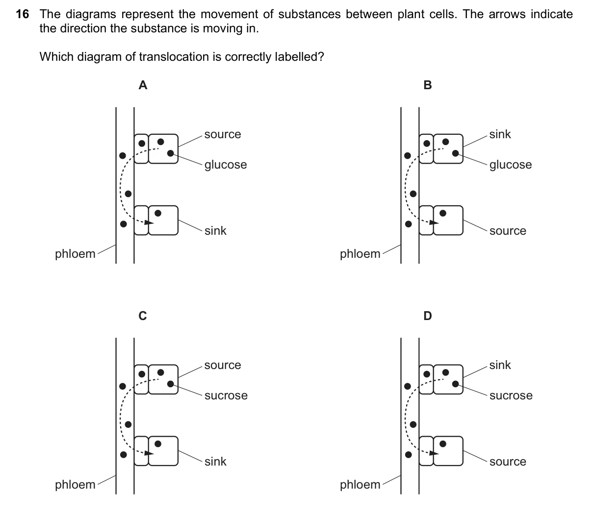 Question 16, June 2023, 0610 Paper 23