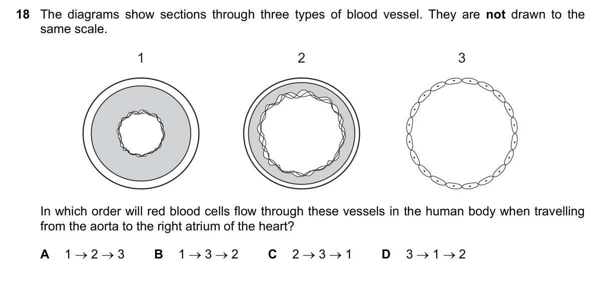 Question 18, June 2023, 0610 Paper 23