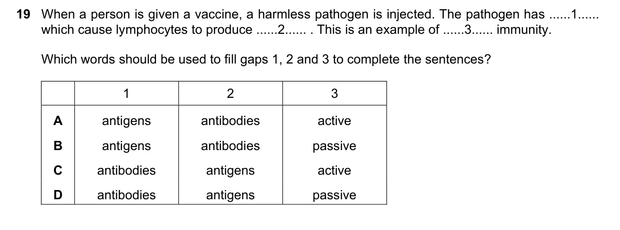 Question 19, June 2023, 0610 Paper 23